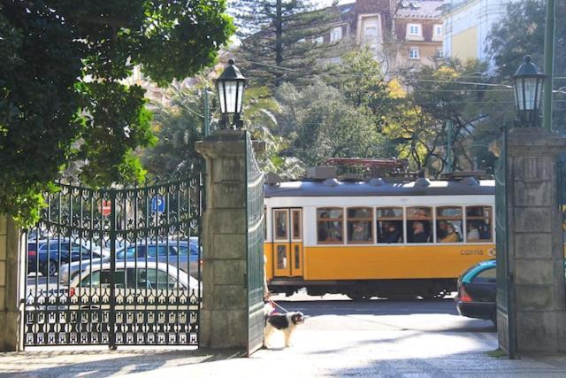 Apartamento Bem Localizado Para Familias & Amigos Lejlighed Lisboa Eksteriør billede